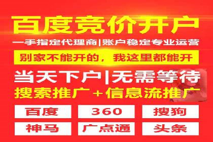 竞价广告案例分析：行业竞争激烈下的突围之路